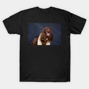 Sussex Spaniel Aviator T-Shirt